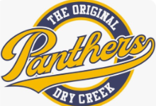 The Original Panthers Logo